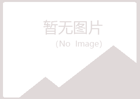 黑河紫山水泥有限公司